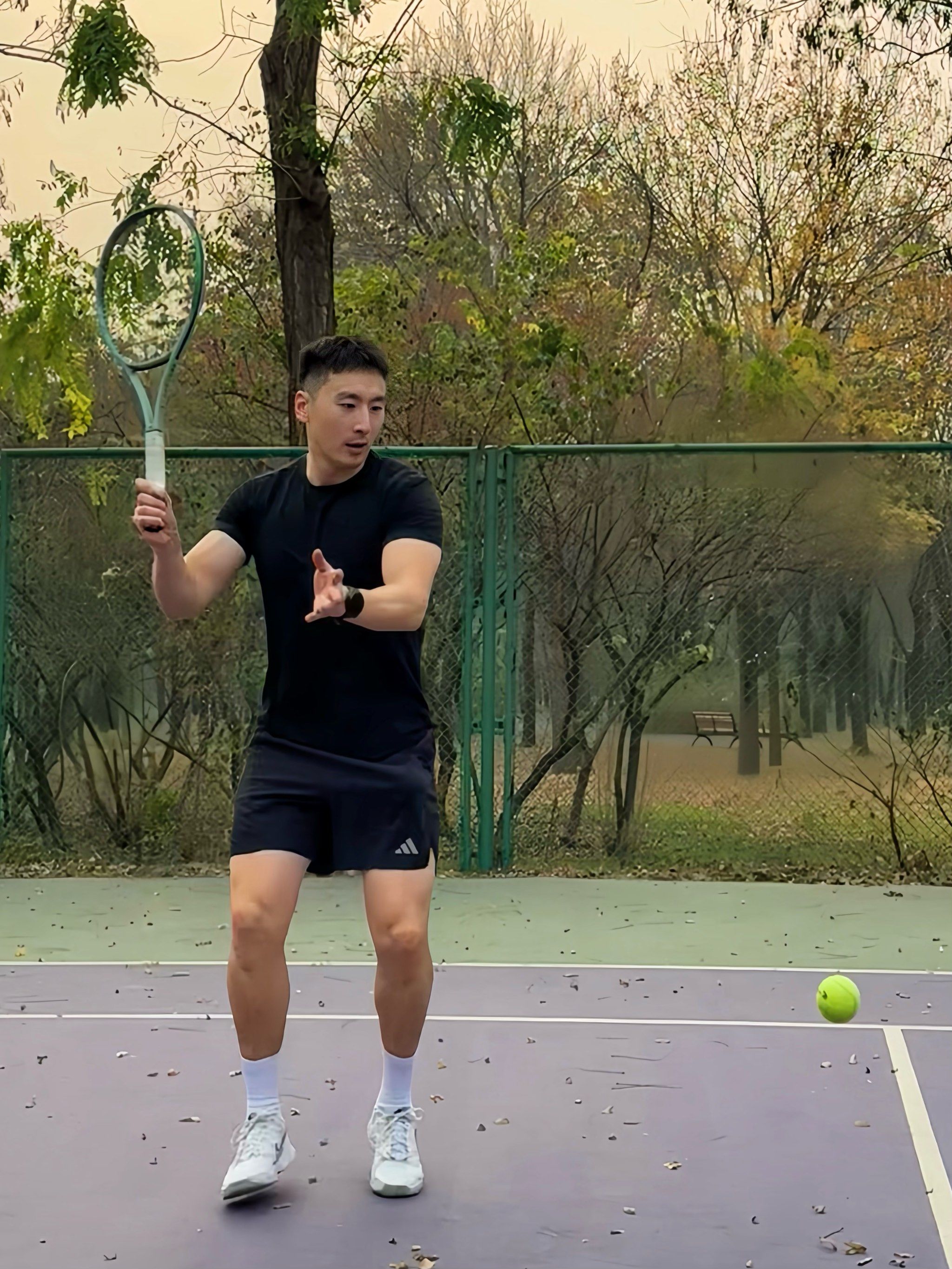 展示出了非 展示出了非